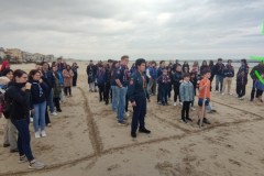 ASSEMBLEE NAZIONALI  ALBUM